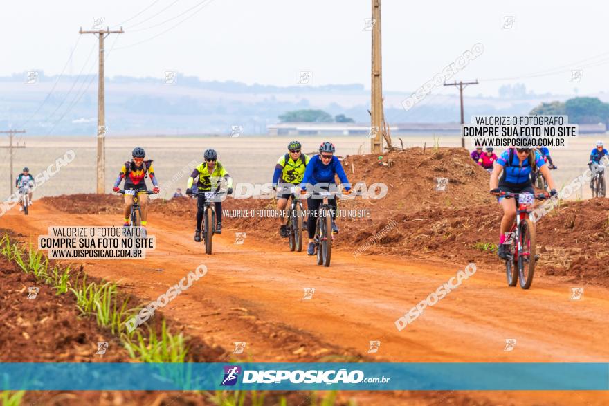 Rota das Capelas de Mandaguaçu