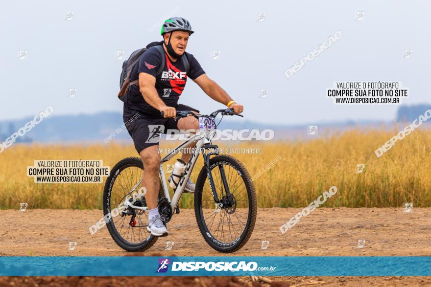 Rota das Capelas de Mandaguaçu