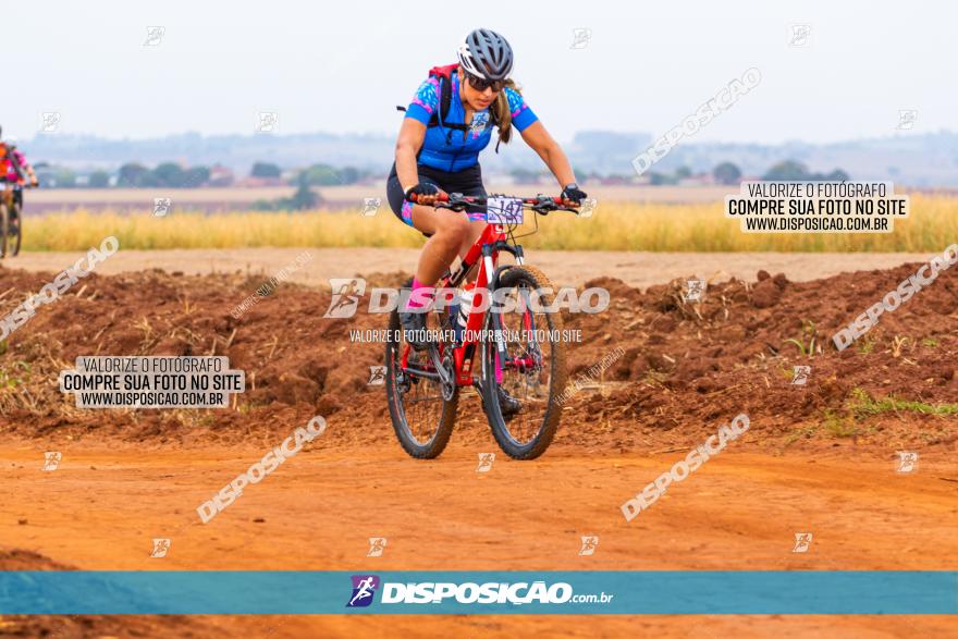 Rota das Capelas de Mandaguaçu