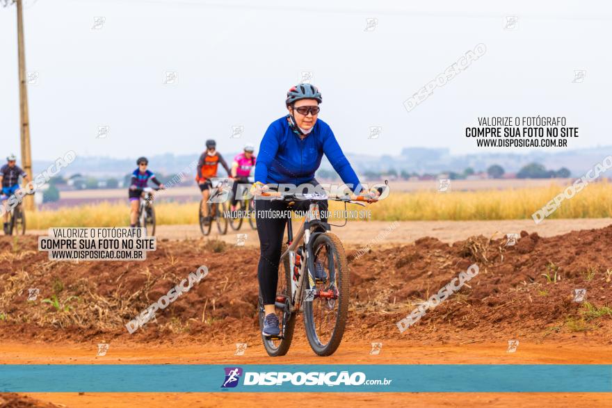 Rota das Capelas de Mandaguaçu