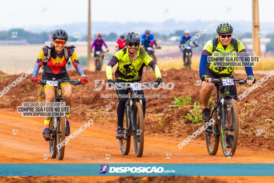 Rota das Capelas de Mandaguaçu