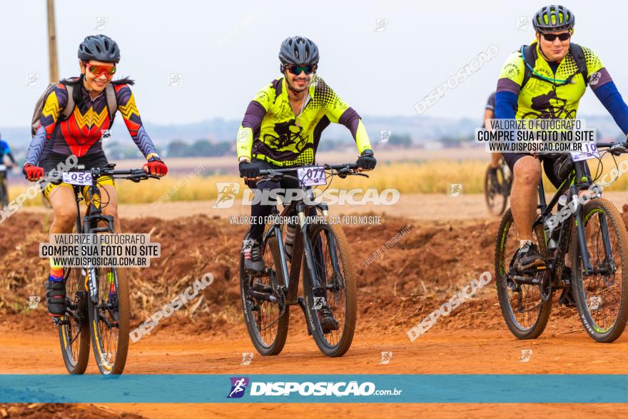 Rota das Capelas de Mandaguaçu