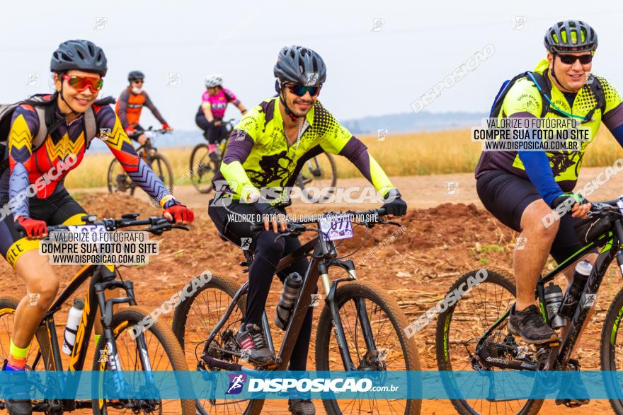 Rota das Capelas de Mandaguaçu