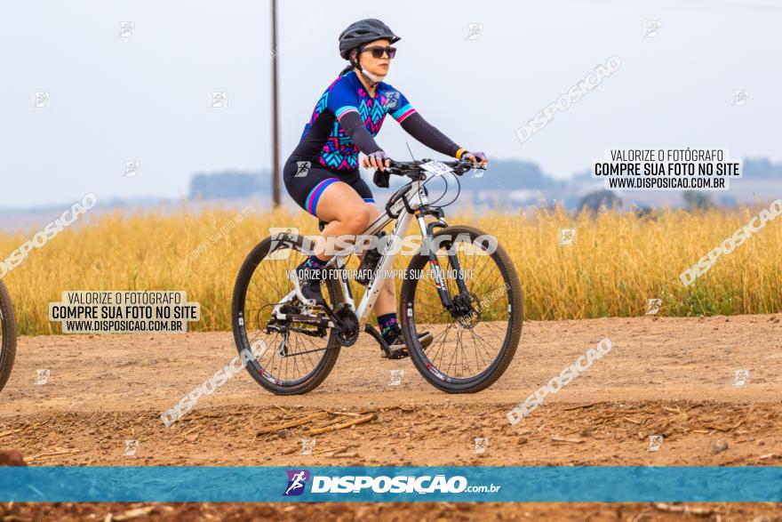 Rota das Capelas de Mandaguaçu