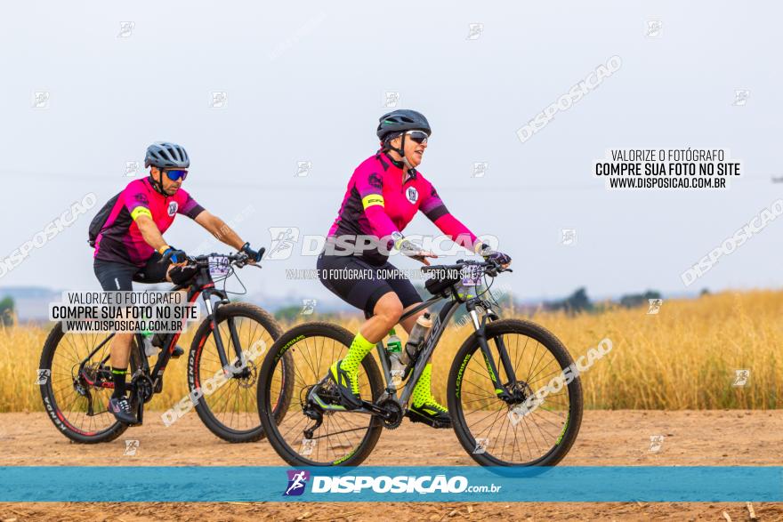 Rota das Capelas de Mandaguaçu