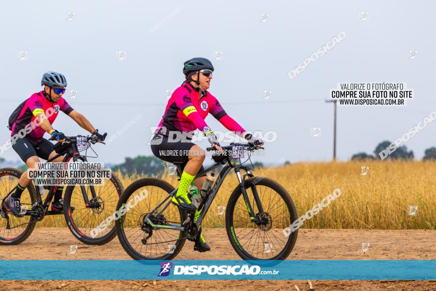 Rota das Capelas de Mandaguaçu