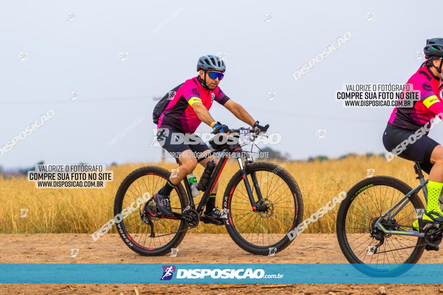 Rota das Capelas de Mandaguaçu