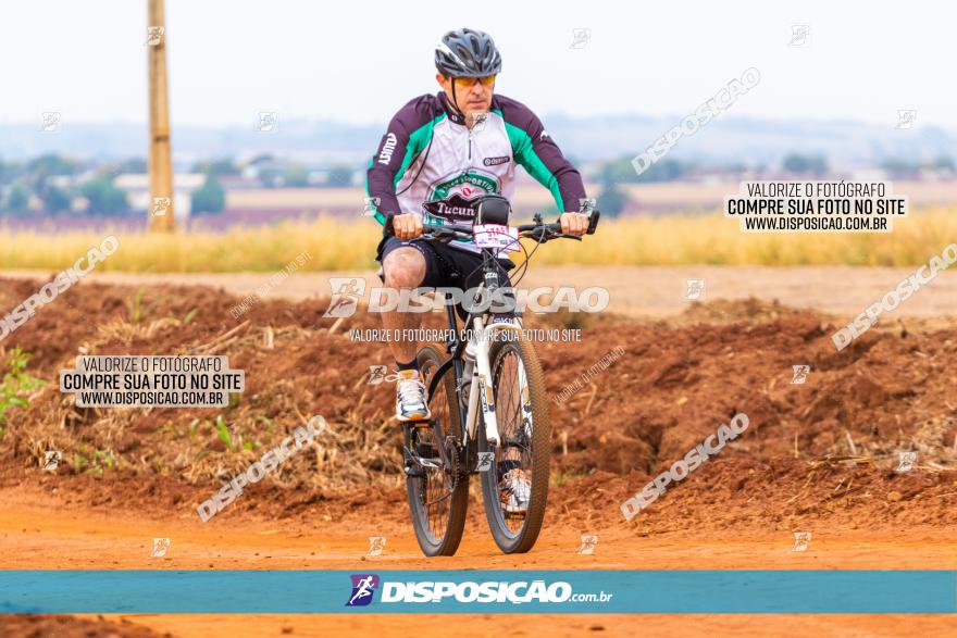 Rota das Capelas de Mandaguaçu