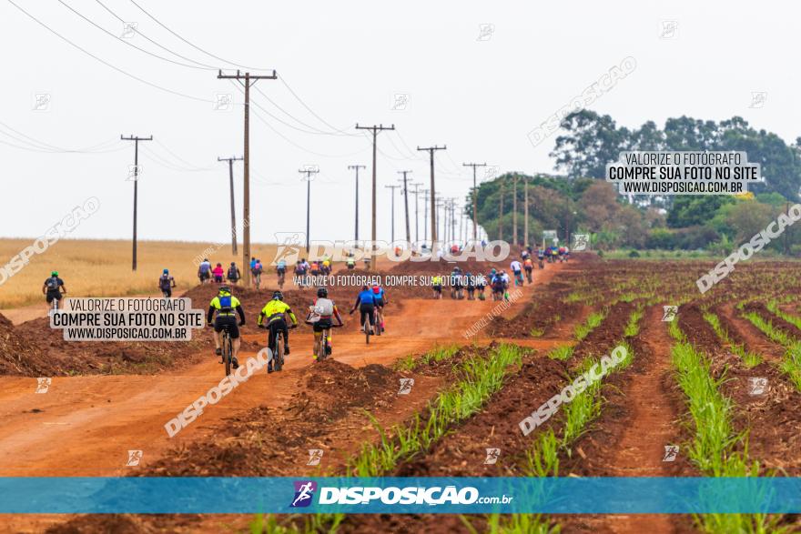 Rota das Capelas de Mandaguaçu