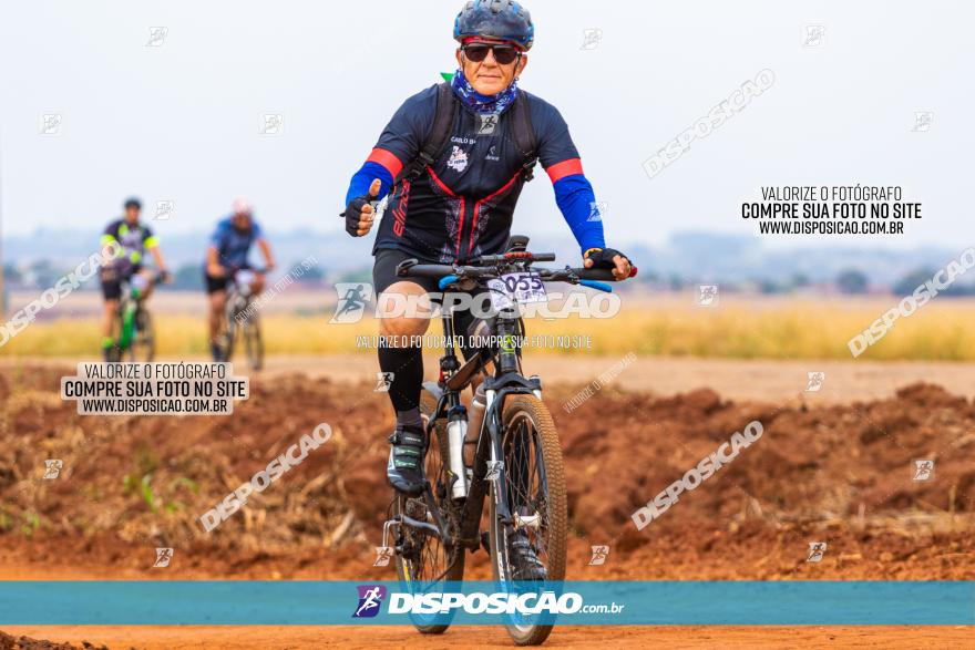 Rota das Capelas de Mandaguaçu