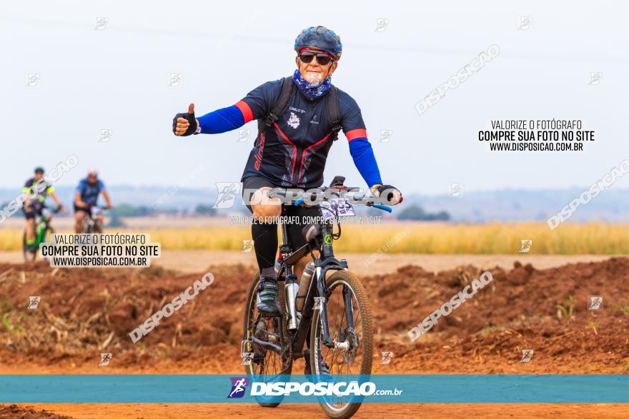 Rota das Capelas de Mandaguaçu