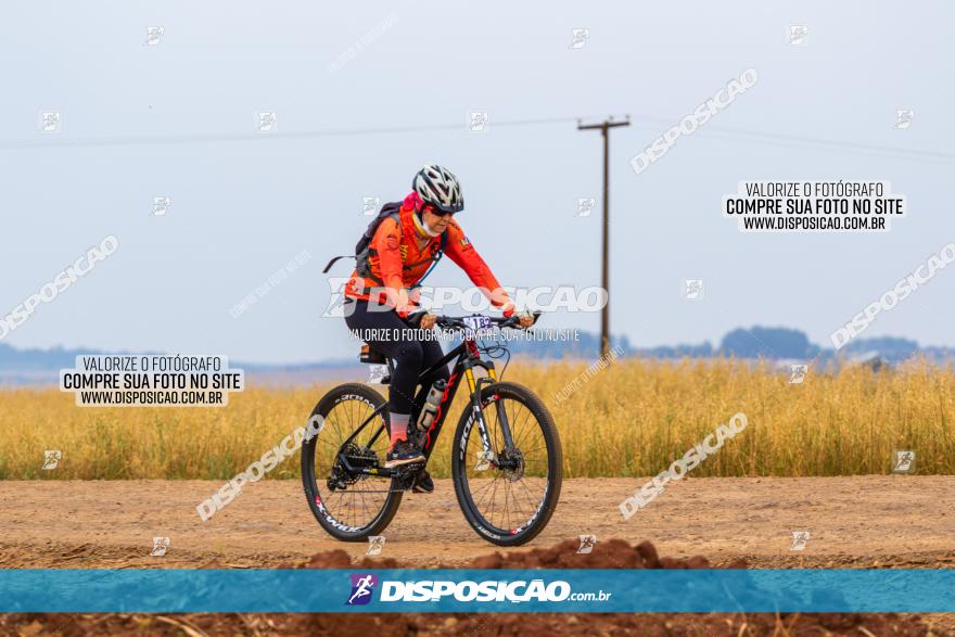 Rota das Capelas de Mandaguaçu