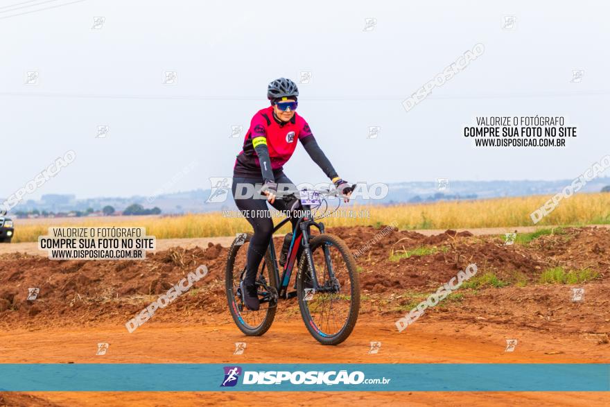 Rota das Capelas de Mandaguaçu