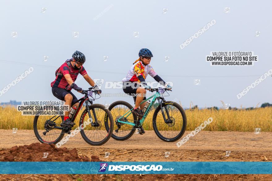 Rota das Capelas de Mandaguaçu