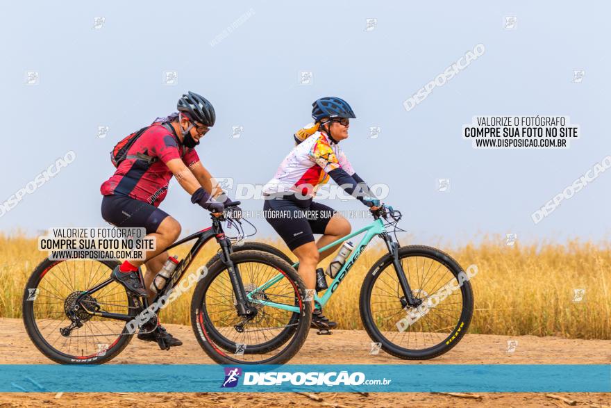 Rota das Capelas de Mandaguaçu