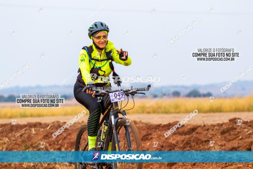 Rota das Capelas de Mandaguaçu