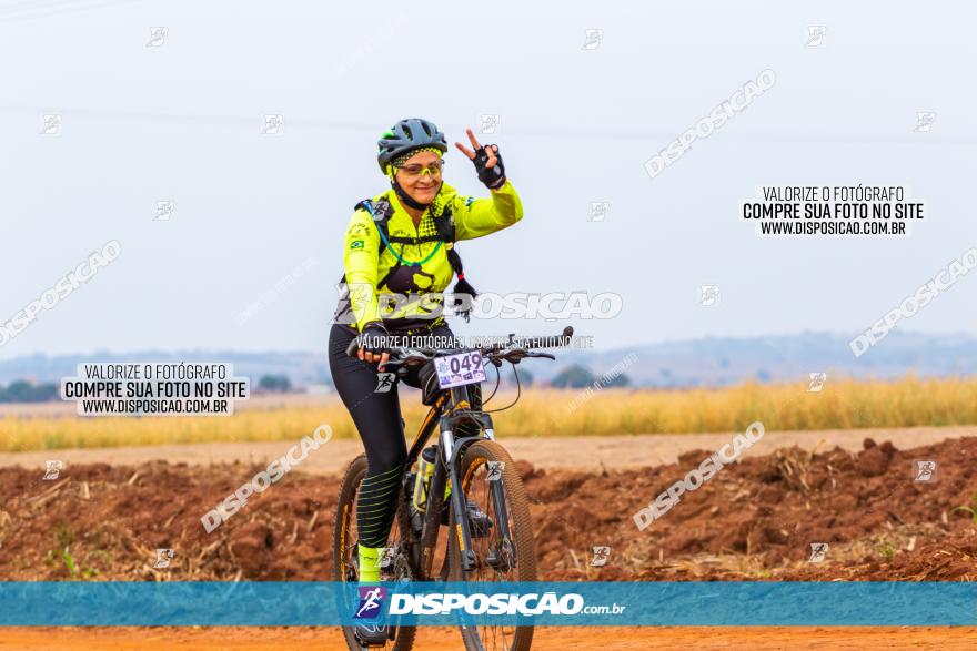 Rota das Capelas de Mandaguaçu