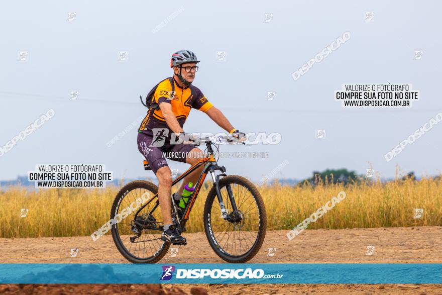 Rota das Capelas de Mandaguaçu