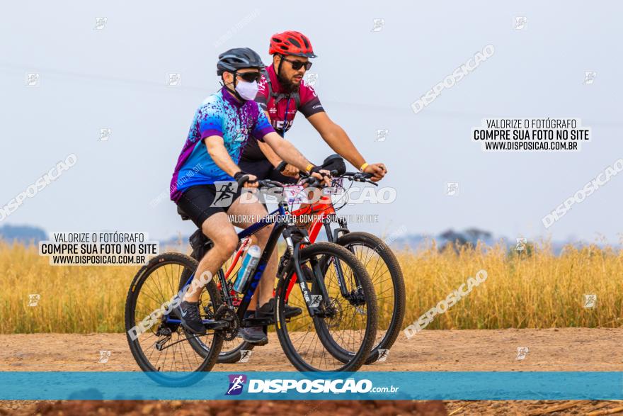 Rota das Capelas de Mandaguaçu