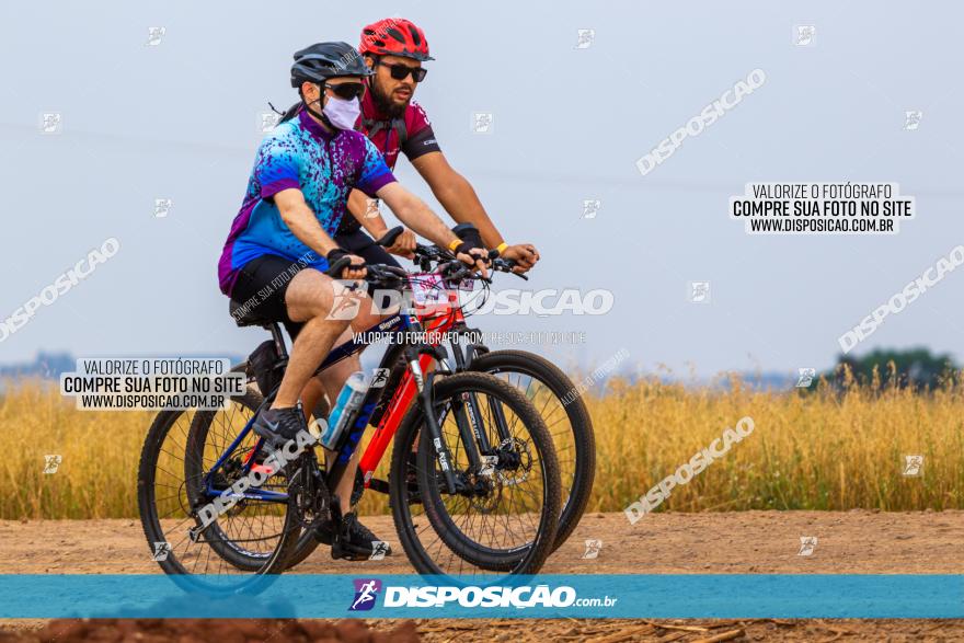 Rota das Capelas de Mandaguaçu