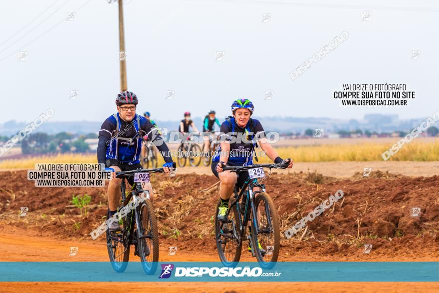 Rota das Capelas de Mandaguaçu