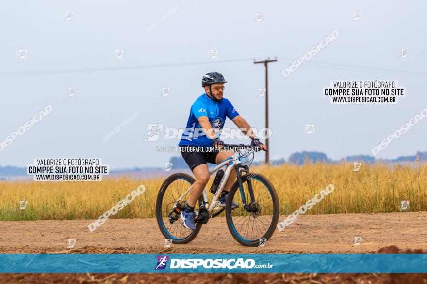 Rota das Capelas de Mandaguaçu