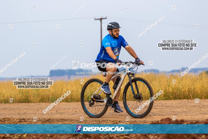 Rota das Capelas de Mandaguaçu