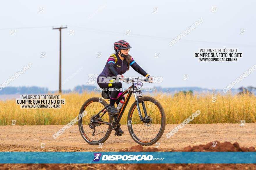 Rota das Capelas de Mandaguaçu