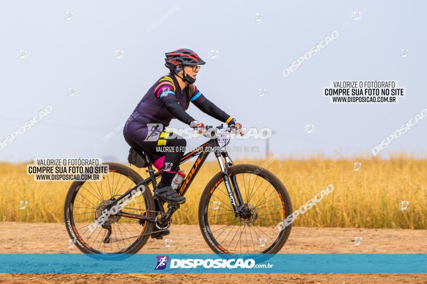 Rota das Capelas de Mandaguaçu