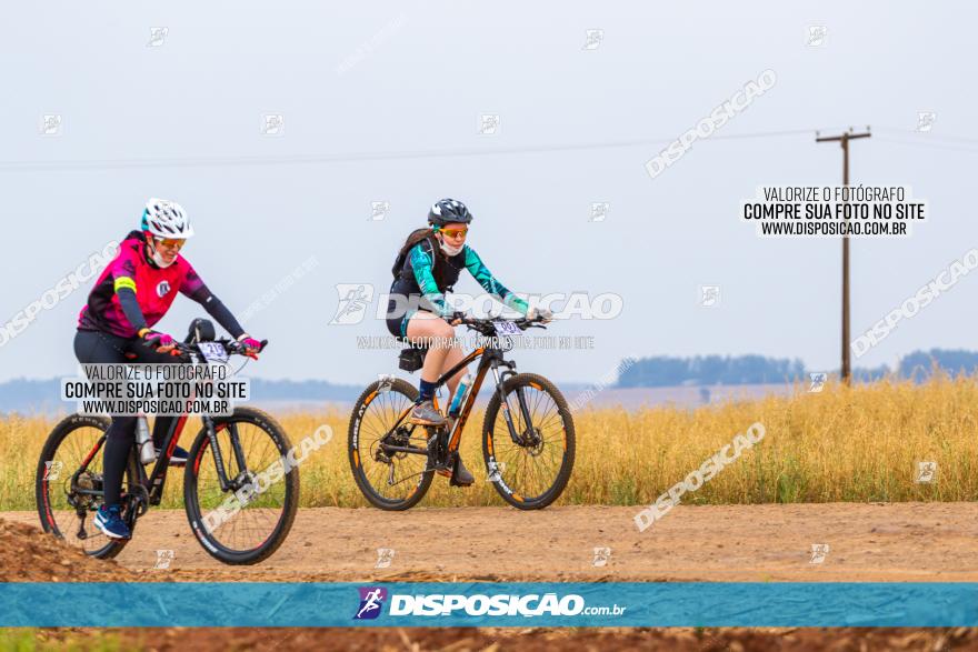 Rota das Capelas de Mandaguaçu