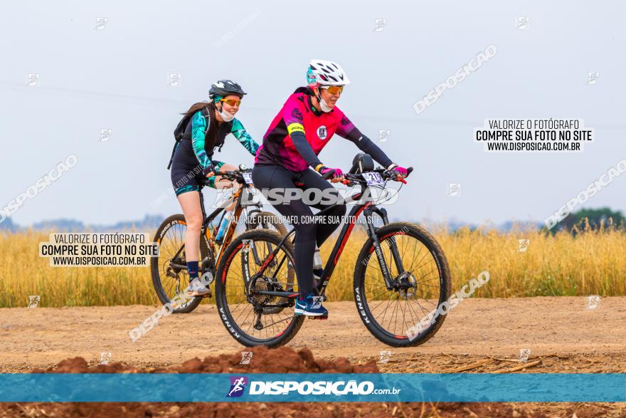 Rota das Capelas de Mandaguaçu