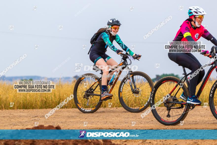 Rota das Capelas de Mandaguaçu