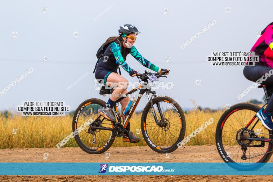 Rota das Capelas de Mandaguaçu