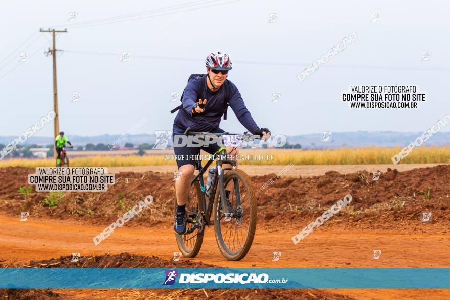 Rota das Capelas de Mandaguaçu