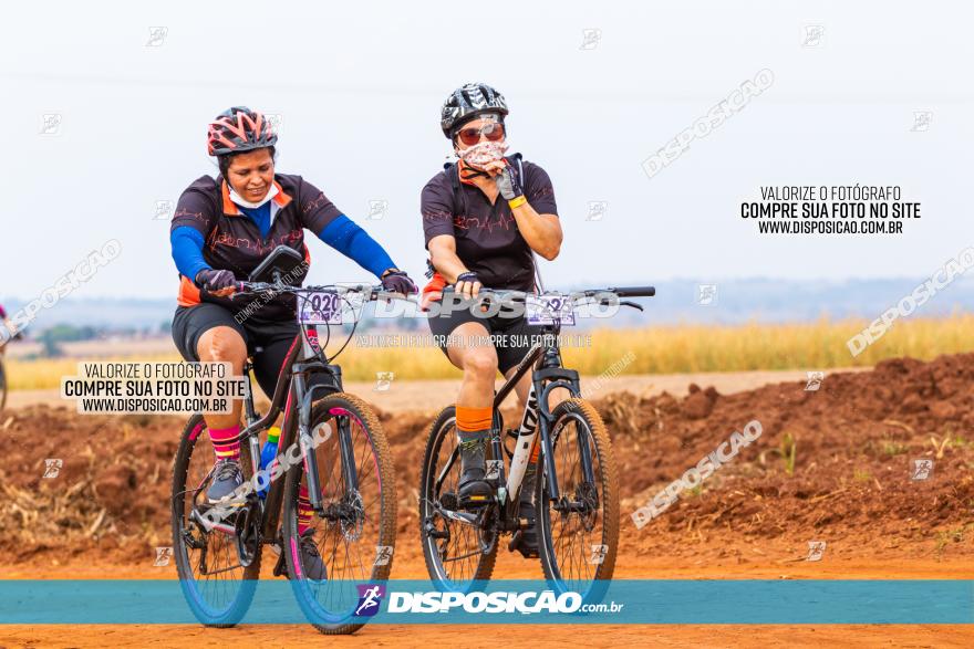 Rota das Capelas de Mandaguaçu