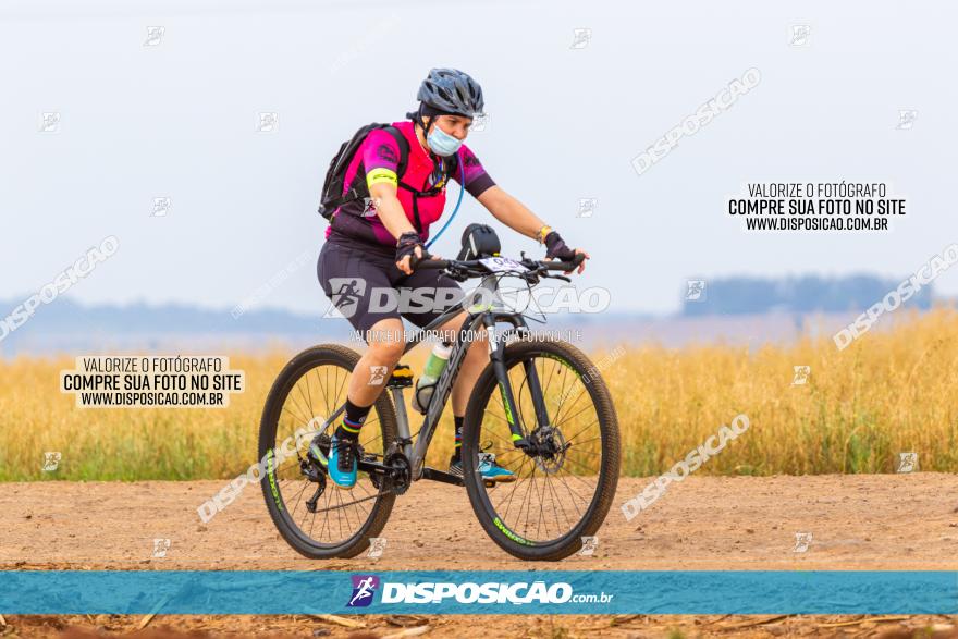 Rota das Capelas de Mandaguaçu