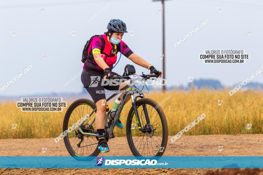 Rota das Capelas de Mandaguaçu