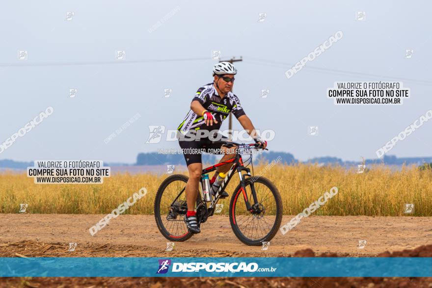 Rota das Capelas de Mandaguaçu