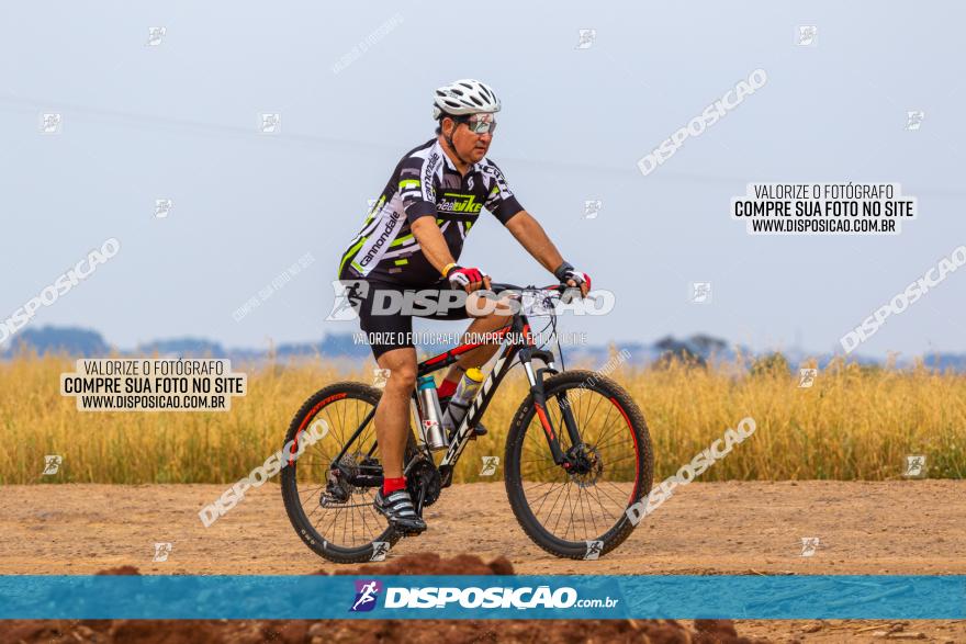 Rota das Capelas de Mandaguaçu