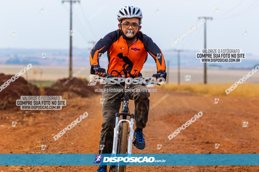 Rota das Capelas de Mandaguaçu