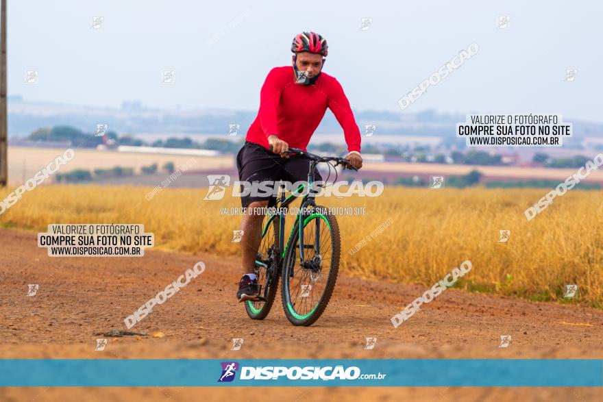 Rota das Capelas de Mandaguaçu