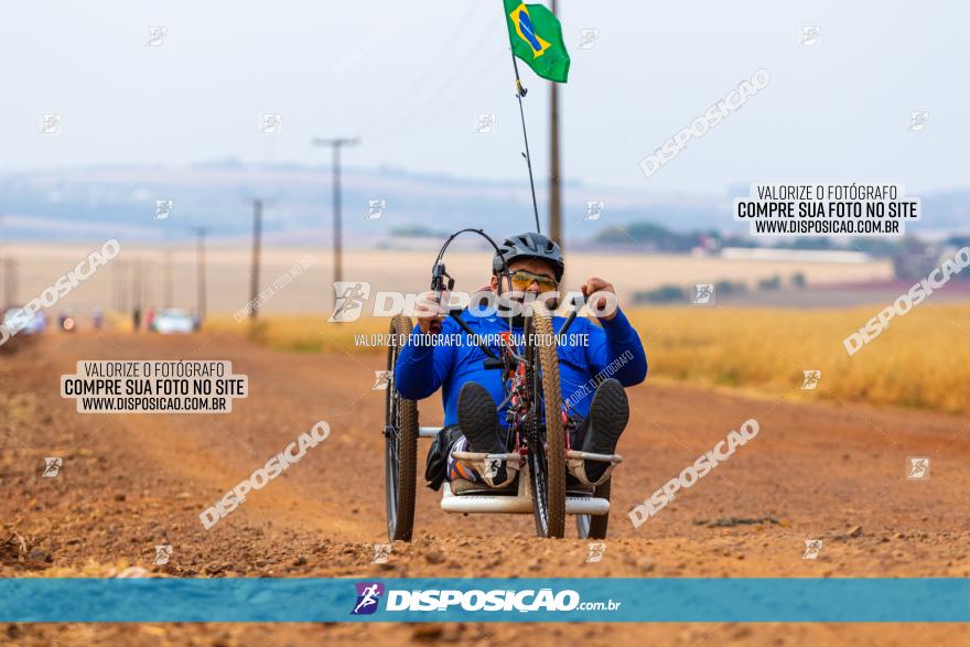 Rota das Capelas de Mandaguaçu