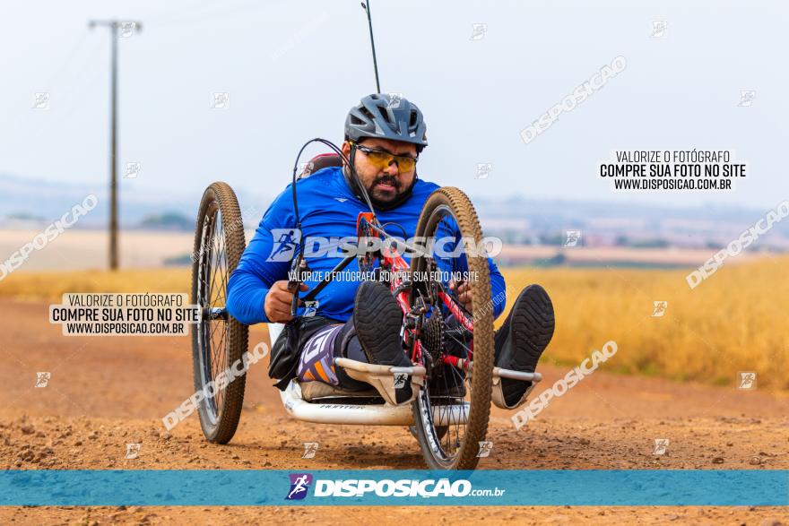 Rota das Capelas de Mandaguaçu