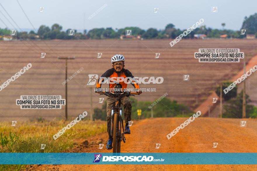 Rota das Capelas de Mandaguaçu