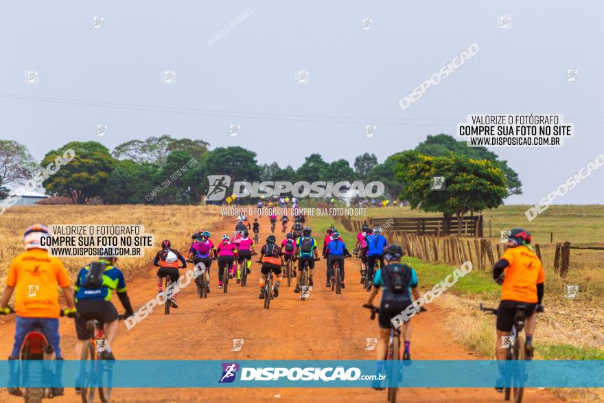 Rota das Capelas de Mandaguaçu