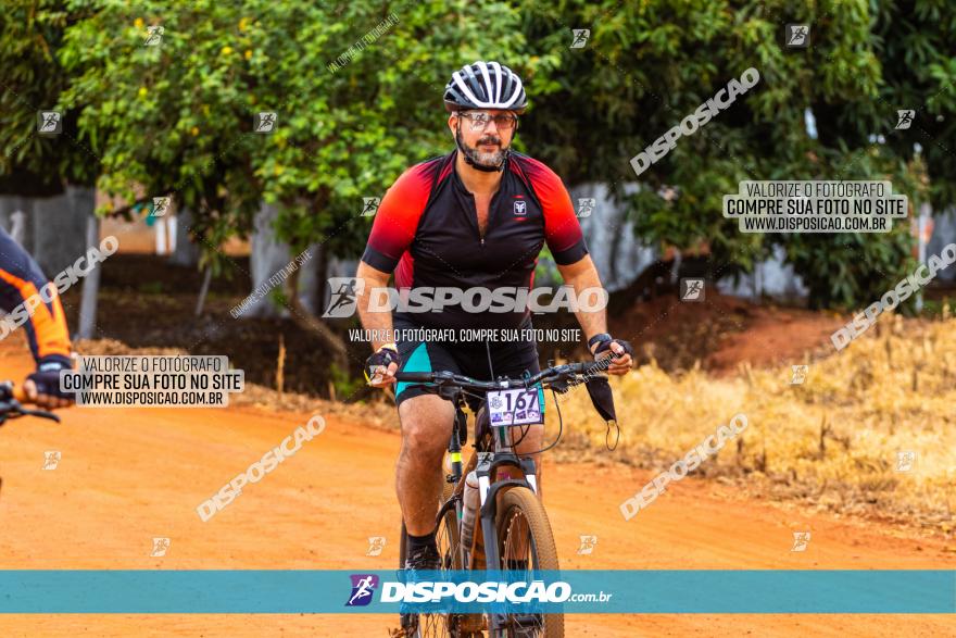 Rota das Capelas de Mandaguaçu