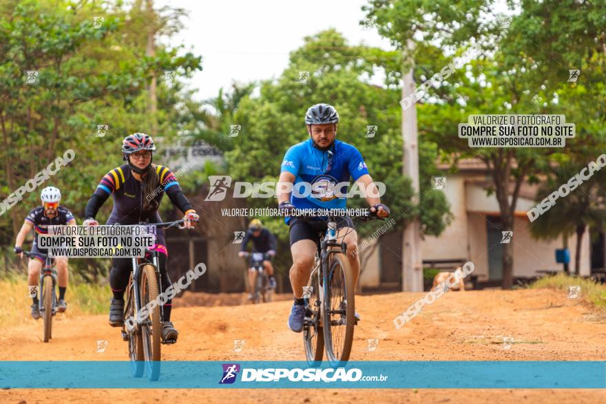 Rota das Capelas de Mandaguaçu