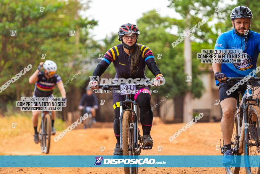 Rota das Capelas de Mandaguaçu