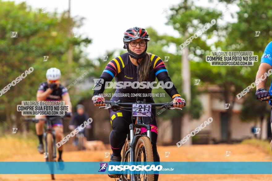 Rota das Capelas de Mandaguaçu