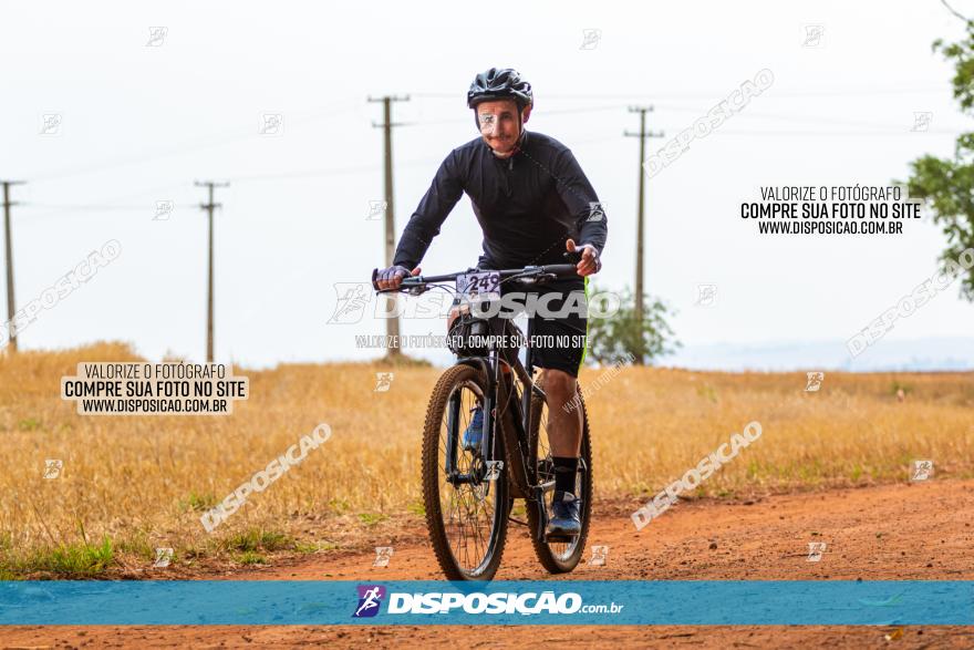 Rota das Capelas de Mandaguaçu